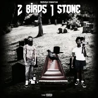 2 Birds 1 Stone by 220 Trill