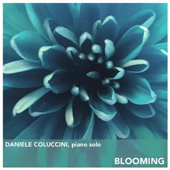 Blooming by Daniele Coluccini