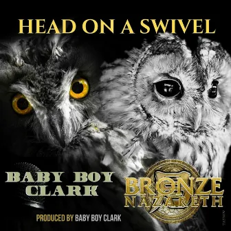 Head on a Swivel by Baby Boy Clark