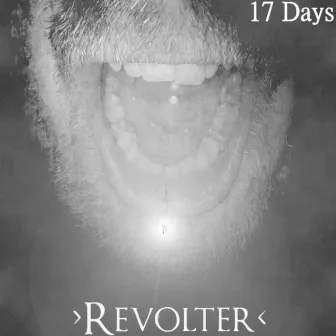 17 Days by Revolter