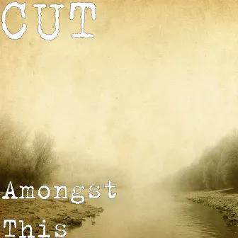 Amongst This by Cut