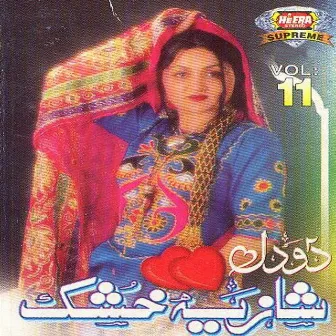 Do Dil, Vol. 11 by Shazia Khushk