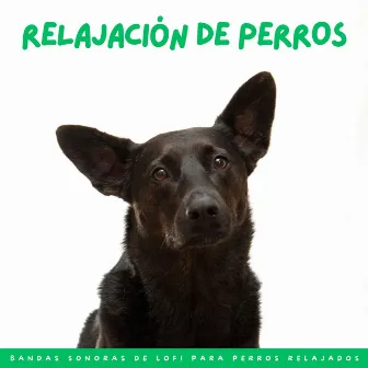 Relajación De Perros: Bandas Sonoras De Lofi Para Perros Relajados by Ritmos de hip-hop de Lofi