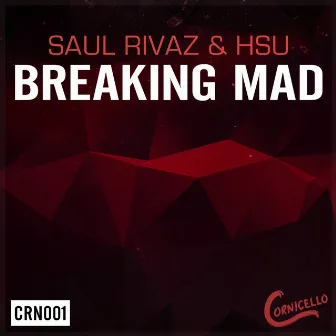 Breaking Mad by Saul Rivaz