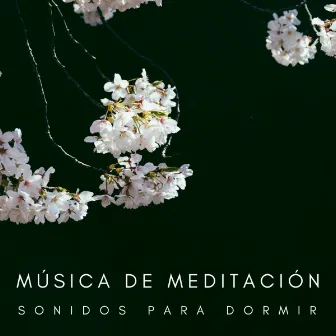 Música De Meditación: Sonidos Para Dormir by Ruido Del Sueño