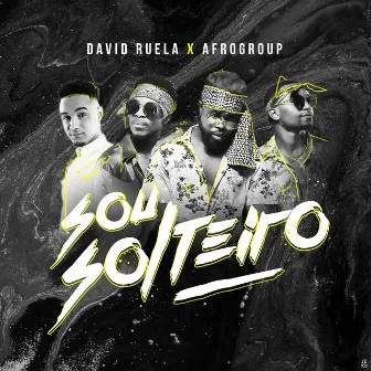 sou solteiro by DJ David Ruela