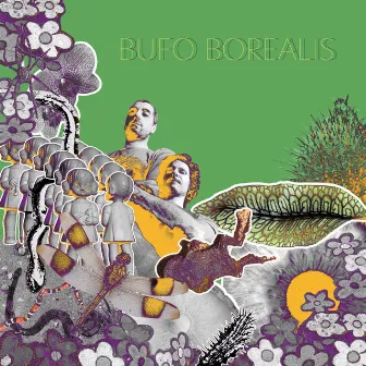 Pupilas Horizontais by Bufo Borealis