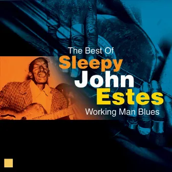 Working Man Blues (The Best Of) by Sleepy John Estes