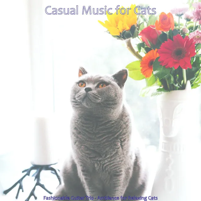 Sunny Music for Calming Kittens