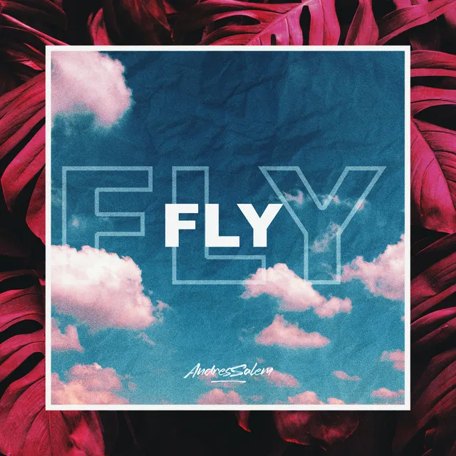 Fly