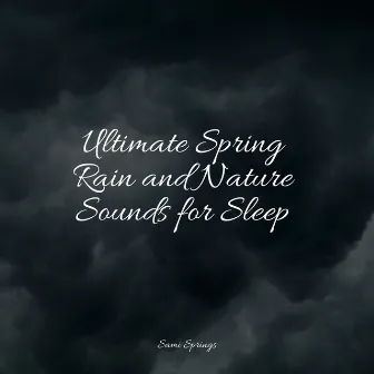 Ultimate Spring Rain and Nature Sounds for Sleep by Academia de Meditação Buddha