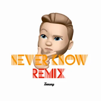 Never Know (Remix) by Tommy