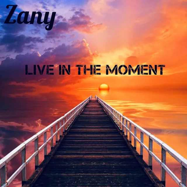 Zany - Live in the Moment