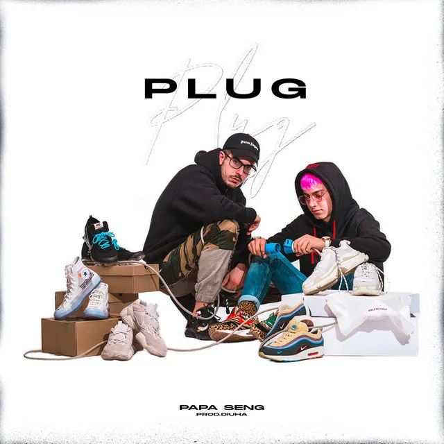 Plug