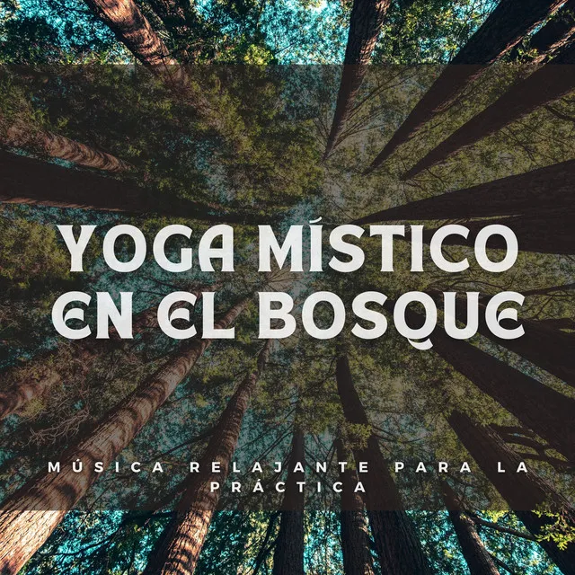 Yoga Místico en el Bosque: Música Relajante para la Práctica