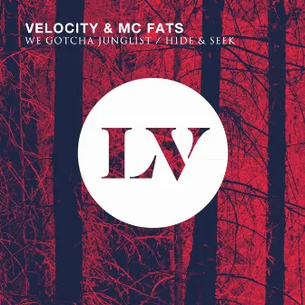 We Gotcha Junglist / Hide & Seek by Velocity