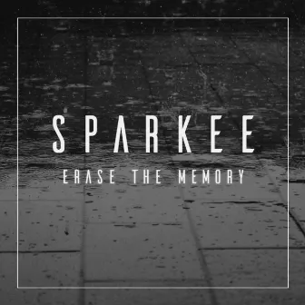 Erase the Memory by Sparkee