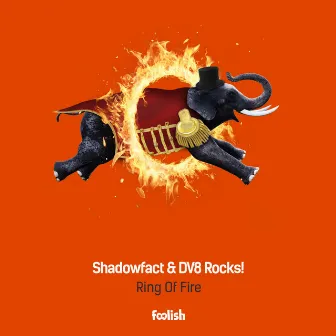 Ring Of Fire (Radio Edit) by ShadowFact