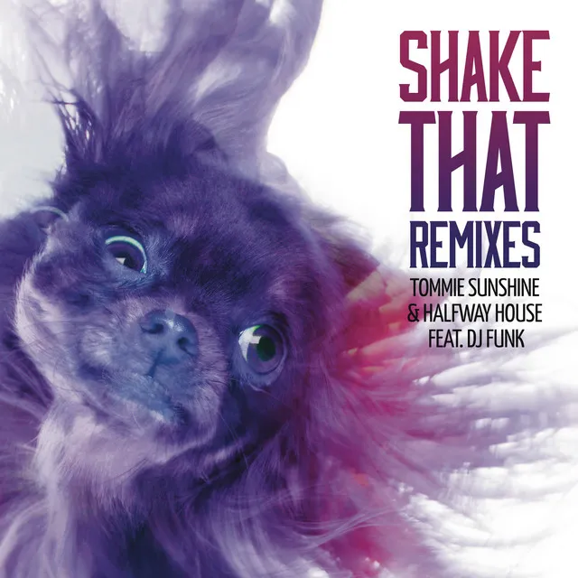 Shake That (feat. DJ Funk) - From Drop Till Dawn Remix