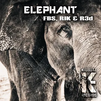 Elephant by R3d