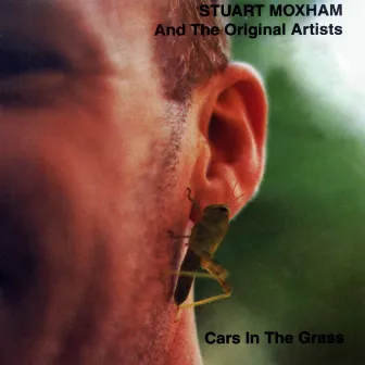 Cars In the Grass by Stuart Moxham