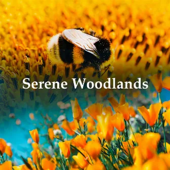 Serene Woodlands by Wilderness Recorders