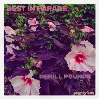 Best In Parade by Derill Pounds