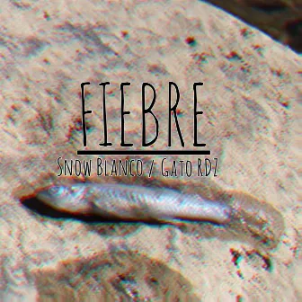 Fiebre by Snow Blanco