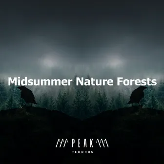 Midsummer Nature Forests by Vogelgezwitscher