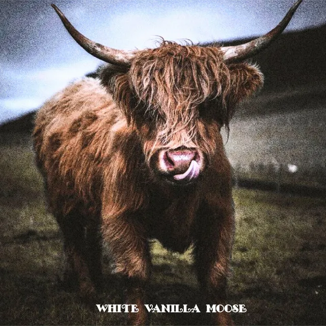 White Vanilla Moose