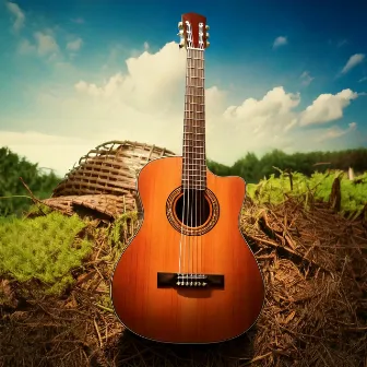 Harmonic Journeys: Guitar Music for Every Mood by 