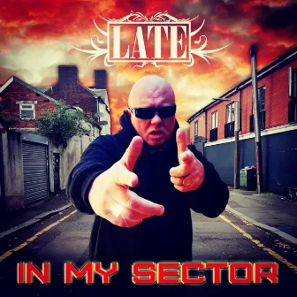 IN MY SECTOR by Late