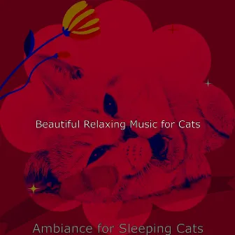 Ambiance for Sleeping Cats by 