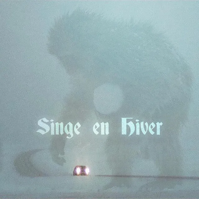 Singe en hiver