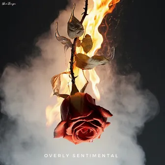 Overly Sentimental by Sha’bayé