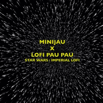 Star Wars : Imperial Lofi by Minijau