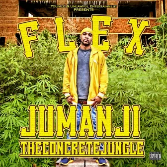 Jumanji -the Concrete Jungle by Flex