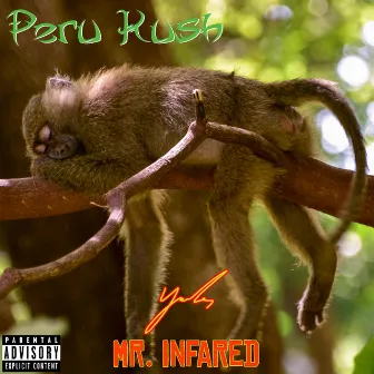 Peru Kush by Mr. Infared