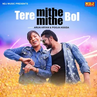 Tere Mithe Mithe Bol by Pawan Pilania