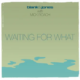 Waiting For What by Mick Roach