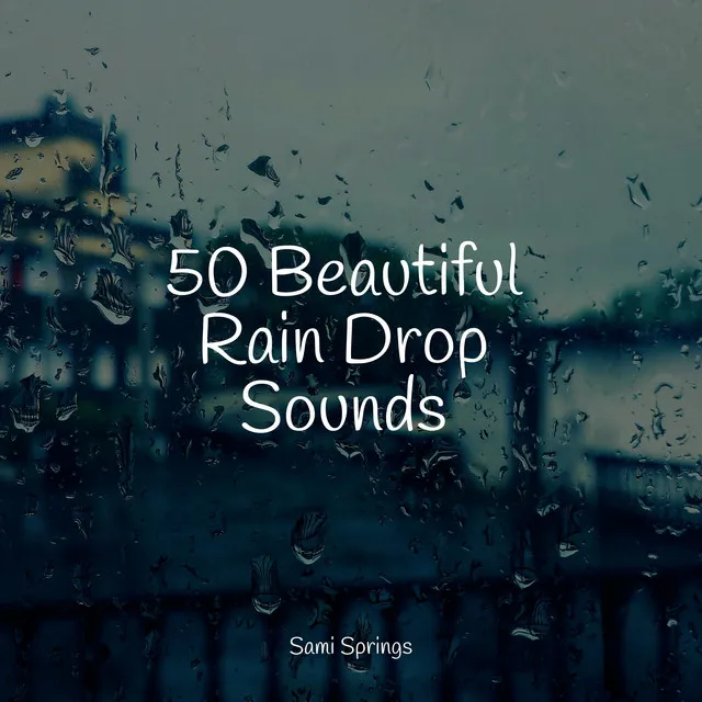 50 Beautiful Rain Drop Sounds