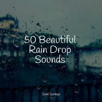 50 Beautiful Rain Drop Sounds by Elements of Nature