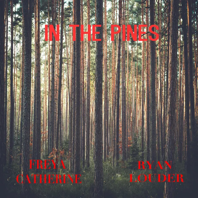 In the Pines