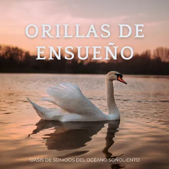 Orillas De Ensueño: Oasis De Sonidos Del Océano Soñoliento by Terapia Oceánica