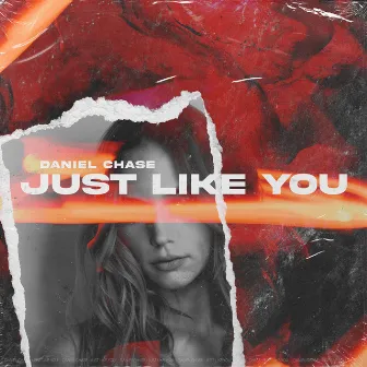 Just Like You by Daniel Chase