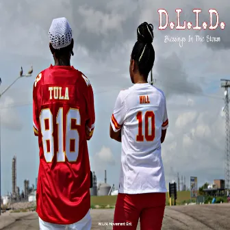 Blessings In The Storm by D.L.I.D.