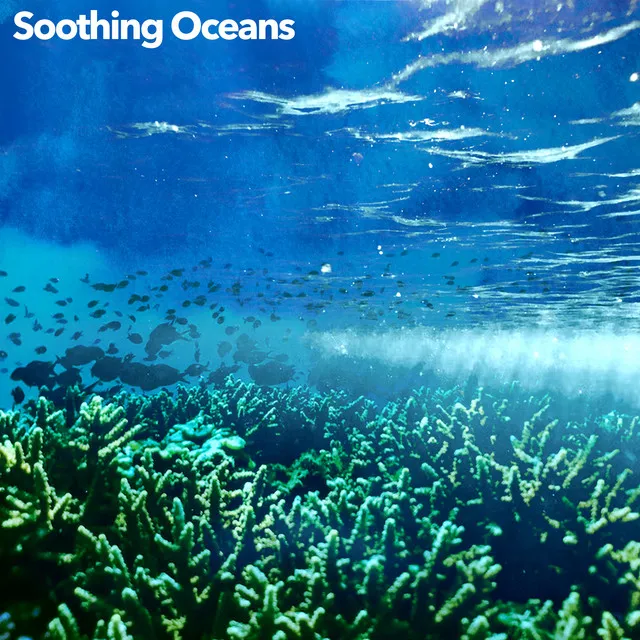 Soothing Oceans