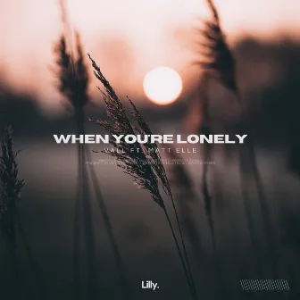 When You're Lonely by Vall