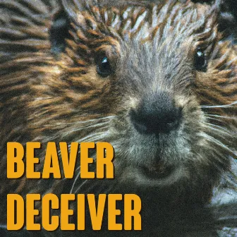 Beaver Deceiver by The Cookie Jar Complot