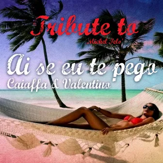 Ai Se Eu Te Pego (Tribute To Michel Telò) by Valentino